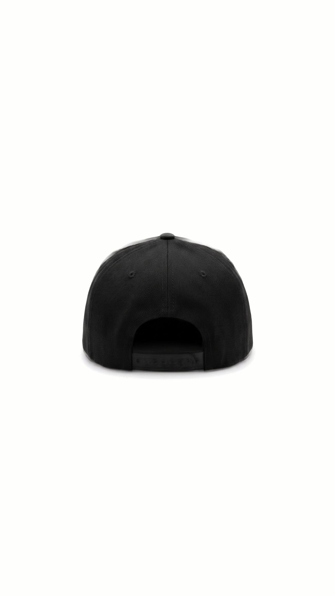 DL X POAN Cap 5/8 – back