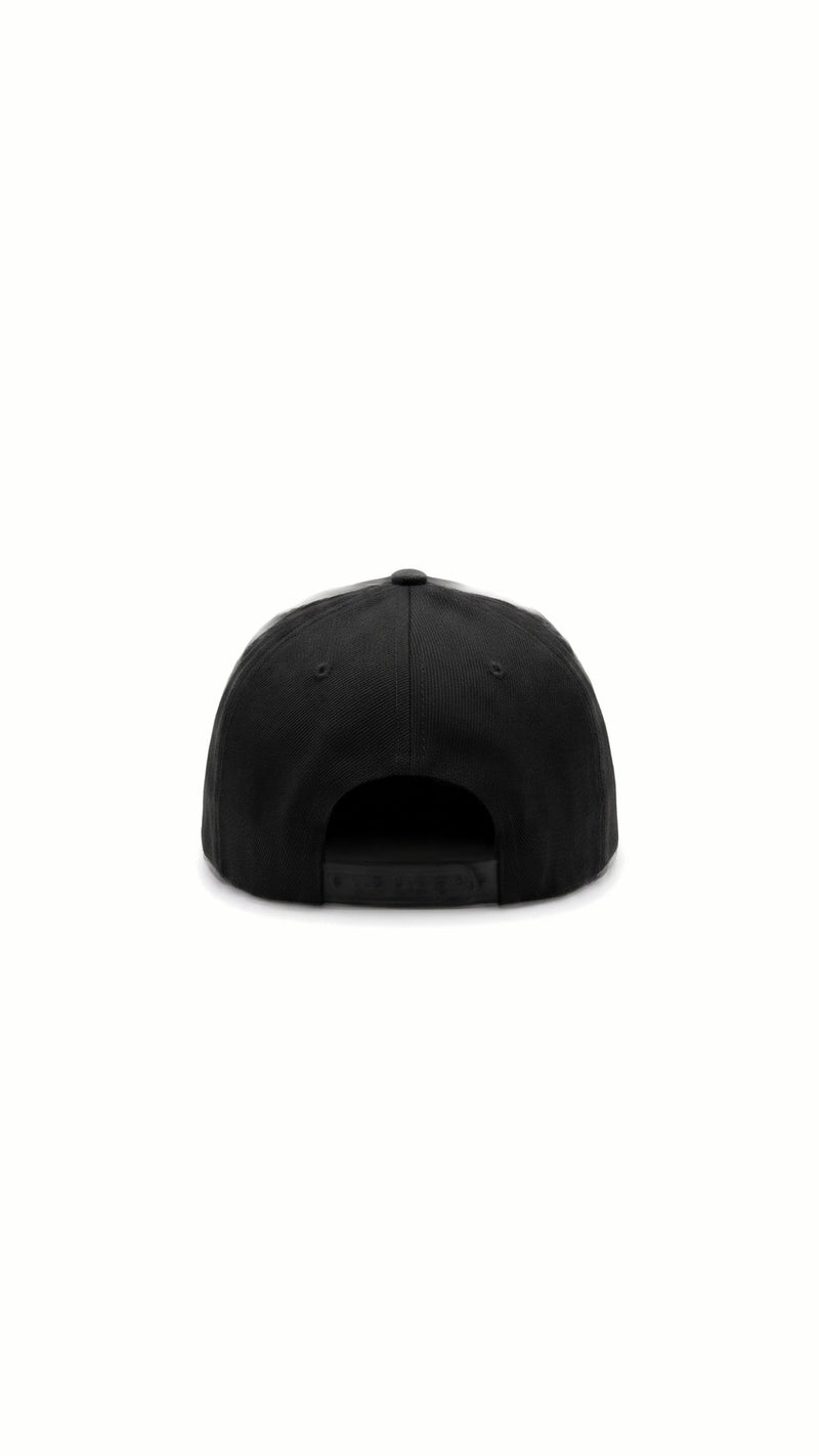 DL X POAN Cap 5/8 – back